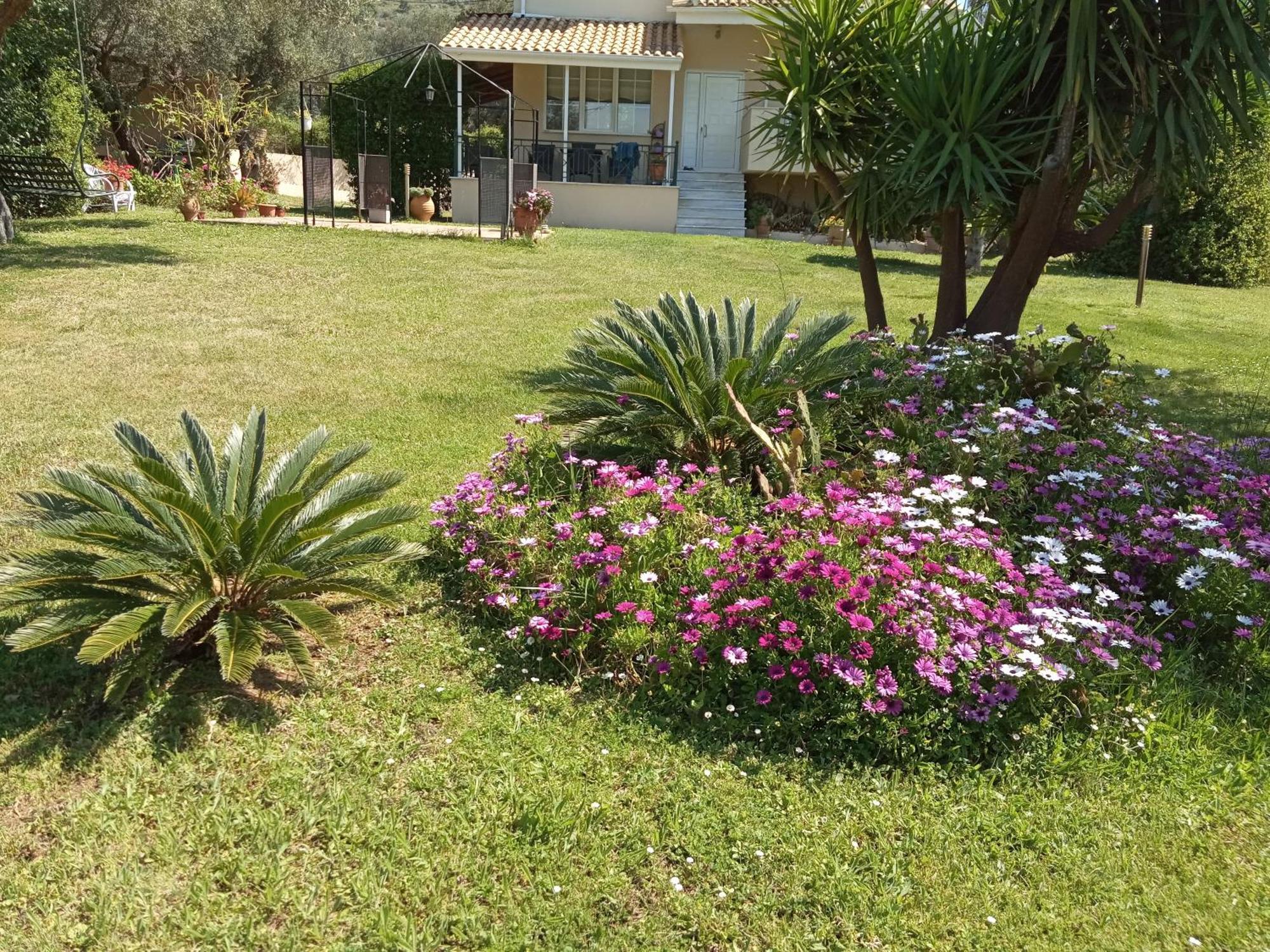 Sunny Garden Villa 普拉塔里亚 客房 照片
